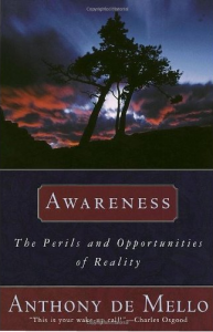 The Best Book on Awareness