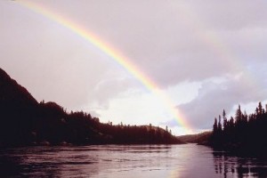 Trust in God's Plan and Look for God's Promise in the Rainbow
