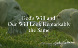 God's Will and Our Will Look Remarkably the Same