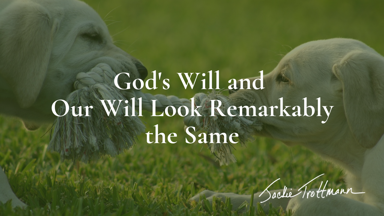 God's Will and Our Will Look Remarkably the Same