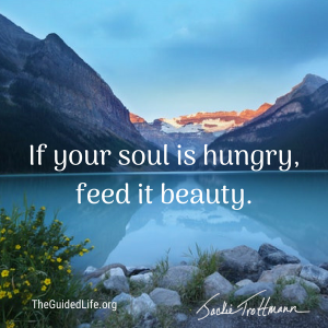 If Your Soul Is Hungry Feed It Beauty