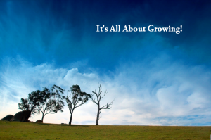 The Guided Life is All About Growing