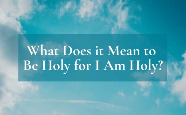 What Does It Mean to Be Holy for I am Holy
