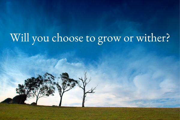Will you choose to grow or wither?