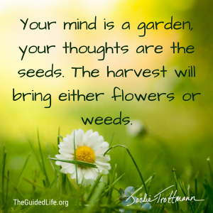 Your Mind is a Garden the Thoughts are the Seeds